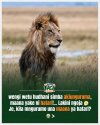 7ca73482-bd91-4140-9f1c-1cd79f9acf87.jpeg