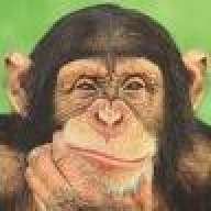 Maverick