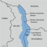 mwambadog