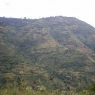 KOMBESANA