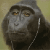 eliasmushi