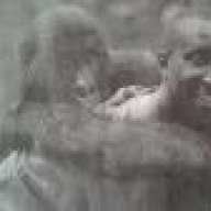 kichema