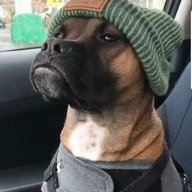 Pumba Master