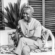 Brown Ashika Tama