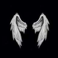 MrWings
