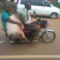 mwambugujo