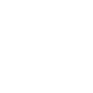 amir_halla