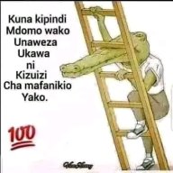 Mbegu tata