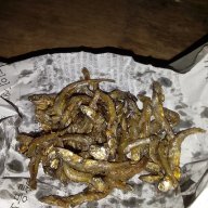 marashi ya pwani