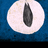 rodian