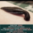 Mbwana omari