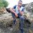 Molla lyochi