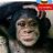 baraka David