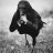 JrAssess